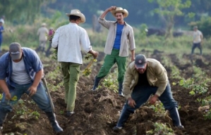 Безработица в ЕС бьет рекорды